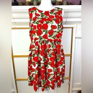 Sunday in Brooklyn Anthropologie Rose print retro chic print dress lined
